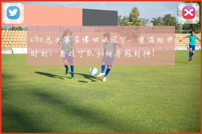 cba总决赛录像回放辽宁，重温经典时刻，看辽宁队如何夺冠封神！