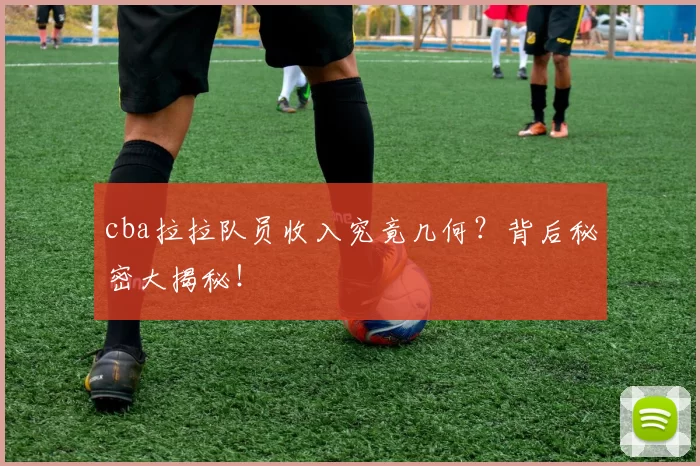cba拉拉队员收入究竟几何？背后秘密大揭秘！