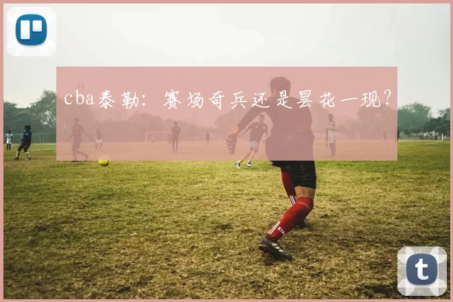 cba泰勒：赛场奇兵还是昙花一现？