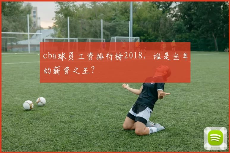 cba球员工资排行榜2018，谁是当年的薪资之王？