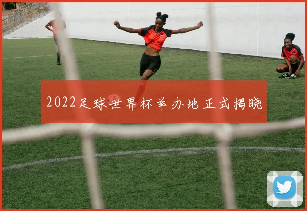 2022足球世界杯举办地正式揭晓
